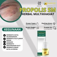 Gambar ProPolis SM Selangkangan Hitam Dan Gatal, Kadas, Kurap Gatal Salep Jamur Selangkangan dari Herbalthy Store undefined 1 Tokopedia