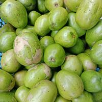 Gambar Kedondong Bangkok 1 kilo kriuk renyah segar manis dari Bundastore123 undefined 2 Tokopedia