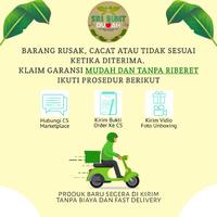 Gambar BIBIT TANAMAN BUAH  JAMBU AIR - CITRA dari Sri bibit buah undefined 2 Tokopedia