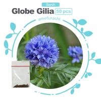 Gambar Benih Biji Bunga Gerbera Jamesonii Daisy Flower Benih Biji Berkualitas Dan Termurah - English Marigold 50 Biji dari amefurashi undefined 2 Tokopedia