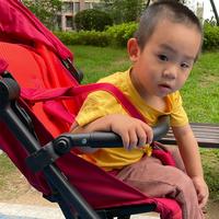 Gambar Baby Stroller Accessories Bumper Bar Anti-Scratch PU Leather Armrest Handle Crossbar Compatible With Cybex Libelle Stroller dari iibuuffeellaaa undefined 3 Tokopedia