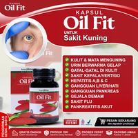 Gambar Kapsul Oil Fit Ektrak Buah Merah Papua BPOM & Halal MUI Suplemen Kesehatan Herbal Untuk Membantu Mengatasi Penyakit Kuning Hepatitis A B C Gangguan Liver Pankreas Gejala Demam Dan Flu pankreatitis Akut Dll dari Natural Herbal undefined 1 Tokopedia