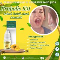 Gambar Propolis Sm - Mengatasi Amandel,Radang Tenggorokan, Susah Menelan, Amandel Bengkak, Bernanah, Mengempiskan Amandel obat penghancur amandel dari madayastore undefined 1 Tokopedia