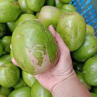 Gambar Kedondong Bangkok 1 kilo kriuk renyah segar manis dari Bundastore123 undefined 1 Tokopedia