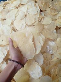 Gambar EMPING MELINJO 5 KG KERING PASAR ASLI KEBUMEN - Makanan, Snack Food, Cemilan, Kripik Goreng - BIJI 1 dari ASYIFA EMPING 26 undefined 5 Tokopedia