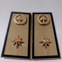 Gambar 4C Tanda Jabatan Pangkat Pns Asn Lampung Bandar Lampung Golongan 4C  Seragam Elegan Clips gold Bros pelapis logam tanda hijau dari Toko gabungan atribut undefined 2 Tokopedia