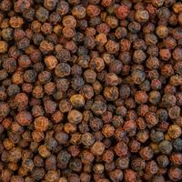Gambar Kampot Red Pepper Peppercorn Lada Merah Utuh Kambodia Import Cambodia dari paman food undefined 1 Tokopedia