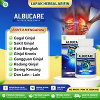 Gambar Obat Penyakit Ginjal Kronis Obat Gagal Ginjal Kiki Bengkak - Walatra Albumin Albucare dari Lapak Herbal Arifin undefined 1 Tokopedia