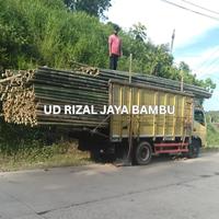 Gambar Bambu Steger Diameter 10-12 cm Panjang 6 meter - Harga Offline dari UD RIZAL JAYA BAMBU undefined 5 Tokopedia