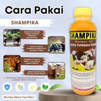 Gambar SAMPO KUDA SAPI KAMBING SHAMPIKA SHAMPO PENGHILANG KUTU PARASIT DELLO dari Dello For Cat undefined 4 Tokopedia