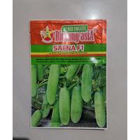 Gambar Benih Timun Baby Saena F1 Kemasan 20Gr Original Pabrik dari mkomkomkookkkom undefined 3 Tokopedia