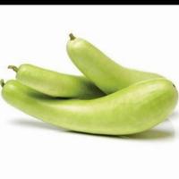 Gambar Sayur Labu Air Panjang 1 Buah -+2KG / Sayur Labu Putih/Sayur Labu Air Segar/ Sayur Waluh Putih dari KaitoHaqiqi undefined 3 Tokopedia