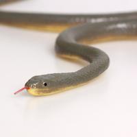 Gambar 120 Cm Fake Snake Ular Karet Palsu Mainan Prank Properti Rumah dari sugiarto58 undefined 4 Tokopedia
