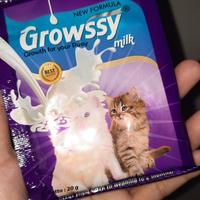 Gambar Growssy Susu Kitten Suplemen Anak Kucing Susu Kambing Baru Formula Sachet 20g untuk Kitten dari Lahir hingga Weaning dari Hayawan Petshop undefined 5 Tokopedia