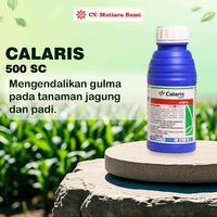 Gambar Herbisida Selektif Calaris 550SC 250ml - 500ml Gulma dan Teki pada Tanaman Jagung - 500ml dari MutiaraBumiindonesia undefined 1 Tokopedia