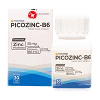Gambar PROMO HEMAT !!! Picozinc-B6 - Zinc Picolinate 50mg + B6 (DAPAT 2 BOX) - Vitamin & MIneral dari Puspa Pharma_NEW undefined 3 Tokopedia