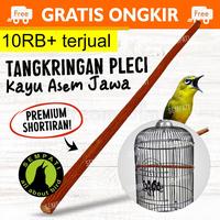 Gambar SEMPATI TANGKRINGAN PLECI KAYU ASEM JAWA ALAMI GRADE A PREMIUM TANGKRINGAN SANGKAR KANDANG BURUNG PLECI TANGKRINGAN CUCAK IJO CIBLEK PLECI KONIN / BURUNG KECIL KOLIBRI KONIN SOGON SOGOK ONTONG 5 UP TO 7 MM - Tankrngan Pleci Asem dari jasko storee undefined 1 Tokopedia