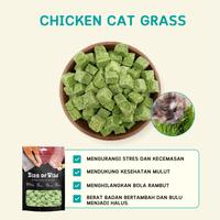 Gambar Makanan Kucing Bite Of Wild Daging Beku-Kering 40g - Mix Flavors Combo 2 Tanpa pengawet dan cocok untuk segala usia - Salmon+Grass dari Bite Of Wild Indonesia undefined 3 Tokopedia