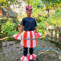 Gambar Kostum rumbai tali rafia merah putih untuk karnaval 17 agustus 1 paket ( rok, Tangan, kaki, bandana) - merah putih, jumbo dari Kreasi Kurma undefined 1 Tokopedia