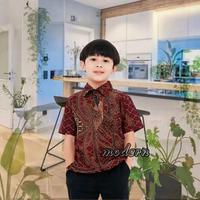 Gambar Baju Batik Anak Laki-laki Usia 1-12 tahun Motif Terbaru Murah - Sultan, S (1-2 tahun) dari agatha.cloth undefined 4 Tokopedia