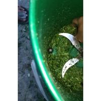 Gambar Alat Mesin Pencacah Rumput Sayur Buah Daun untuk Pakan Ternak dan Bahan Kompos Blender Sayur Daun dari Toko Donomulyo1 undefined 5 Tokopedia