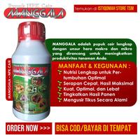 Gambar PROMO MANGGALA 500ml Obat Pengusir Hama Tikus Sawah - Obat Pembasmi Hama Tikus - Obat Hama Tikus Pada Tanaman Padi - Obat Hama Tikus Di Rumah - Racun Hama Tikus - Obat Pengendali Hama Tikus - Obat Semprot Untuk Hama Tikus yang Ampuh Mujarab - MANGGALA dari ISTIQOMAH TSM undefined 4 Tokopedia