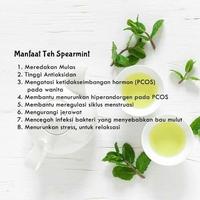 Gambar Spearmint Tea,Untuk Jerawat Hormon Dan Pcos.Isi 20 Dan 30 Tea Bag(Teh Celup) Daun  Minuman - 20 Tea Bag dari AUF TEA & TISANE undefined 2 Tokopedia