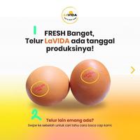 Gambar PROMO TELUR LAVIDA OMEGA 3 ASLI BUKAN SUNTIKAN - 1 TRAY/30 BUTIR dari Yindaki store undefined 4 Tokopedia