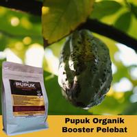Gambar Pupuk Kakao Cepat Berbuah Lebat Booster Pelebat Kakao Pupuk organik Buah Kakao Berbuah lebat dari Berkahjaya.Laris undefined 2 Tokopedia