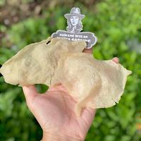Gambar 1 Kg Keripik Gadung Khas Blitar Gurih Renyah ukuran 20 - 500 GRAM dari MAFIA GADUNG undefined 2 Tokopedia