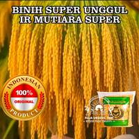 Gambar Raja Unggul Tani Benih Padi Ir Mutiara Super Kualitas Unggul 5kg Potensi Hasil 10-13 Ton Per Hektar Umur 95-97 Hari dari ALAM JAYA TANI 01 09 undefined 1 Tokopedia