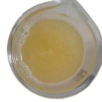 Gambar Ceramide Complex 5ml/Raw Material For Skincare dari Syah-House undefined 2 Tokopedia