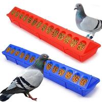 Gambar PROMO [Maestro] Tempat Makan Ayam Merpati 50cm Gound Flip-Top Tempat Makan Unggas Alat Peternakan Ayam Ember Makanan Burung Pegar Anak Ayam NEW #gratisongkir dari Toko Tokio Jaya undefined 3 Tokopedia