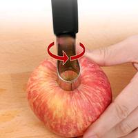 Gambar Alat Pencabut Inti Biji Buah Apel Seed Cutter Core Remover 2cm dari Zsk2020 undefined 2 Tokopedia