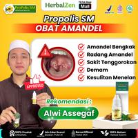 Gambar Propolis SM Obat Amandel Bengkak, Radang Amandel, Sakit Tenggorokan, Demam Dan Kesulitan Menelan - 6ml dari HerbalZen undefined 1 Tokopedia