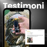 Gambar Champion Essen Ikan Mancing Strike Essence Pancing Aroma Gurih Wangi & Amis Untuk Ikan Mas Galapung Galatama Indukan Lomba Gebyar dari Nanjung Fishing_NEW undefined 5 Tokopedia