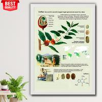 Gambar Poster Edukasi Botani Kopi Dunia | Dari Buah Hingga Biji Sangrai + Bingkai Kayu Premium A2 - HITAM dari Seni Kencana undefined 5 Tokopedia