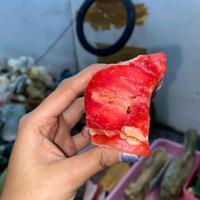 Gambar Ruby Burma Impor Myanmar - Batu Permata Asli - permata, 1 dari Apriliastone undefined 1 Tokopedia