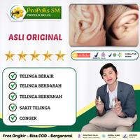 Gambar Obat Telinga Berair Berdarah Bernanah Congek Dengan Herbal Propolis SM 100% Asli - Propolis sm dari Marzuqi Herbal undefined 1 Tokopedia