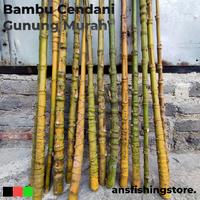 Gambar Bambu Cendani Gunung untuk gagang joran pancing besutan murah berkualitas dari ansfishing undefined 2 Tokopedia