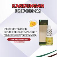 Gambar Atasi Milia Di Bawah Kelopak Mata, Bintik Putih, Bruntusan Di Bawah Mata, Flek Hitam , Jerawat Putih Bawah Mata, Benjolan Putih Kecil Dengan Propolis Sm Eye dari Alami Herbal Store undefined 2 Tokopedia