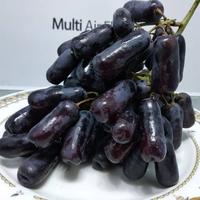 Gambar ANGGUR SWEET SAPPHIRE 1KG | ANGGUR JARI HITAM 1 KG dari boiyo popo undefined 5 Tokopedia