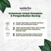 Gambar Mustika Ratu Minyak Lemongrass 150ml & Minyak Zaitun 175ml dari mustikaratuid undefined 3 Tokopedia