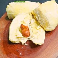 Gambar DURIAN KUPAS MONTONG PALU FROZEN PREMIUM / DUREN MONTHONG PALU PREMIUM dari Guang Ming Mart undefined 4 Tokopedia