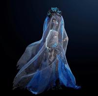 Gambar Monster High Skullector Tim Burton's Corpse Bride Emily Doll dari Cookieegoodieenew undefined 5 Tokopedia