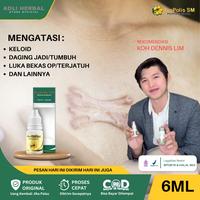 Gambar Propolis SM - Salep Herbal Penghilang Keloid Bekas Luka Operasi Lama, Daging Tumbuh Menahun, Keloid Menonjol, Keloid Di Tangan Dan Kaki, Penghilang Kutil, Keloid Berkerut, Pengering Luka Basah 100% Original - BPOM Dan Halal MUI - Propolis SM dari Adli Herbal Store undefined 1 Tokopedia