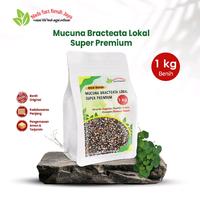 Gambar 1 Kg Benih MB Daun lebar Mucuna Bracteata lokal premium Pupuk Tanaman dari Nada fast benih jaya undefined 1 Tokopedia
