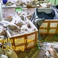 Gambar sale Pesanan Khusus Boss Resto Bekasi 10 Ekor Karkas Utuh Ayam Kampung Babon Besar dari rembstf undefined 3 Tokopedia