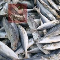 Gambar Ikan asin japuh gurih | ikan kering cocok untuk Liwetan dari Joeragan Bomboe undefined 3 Tokopedia