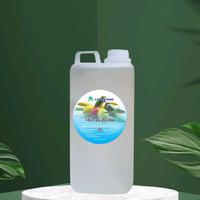 Gambar Minyak Zaitun Lestarizen 1 Liter untuk Pijat dan Bekam - Urut, Pengencang - rose, lestari putih dari larrisa.id undefined 2 Tokopedia